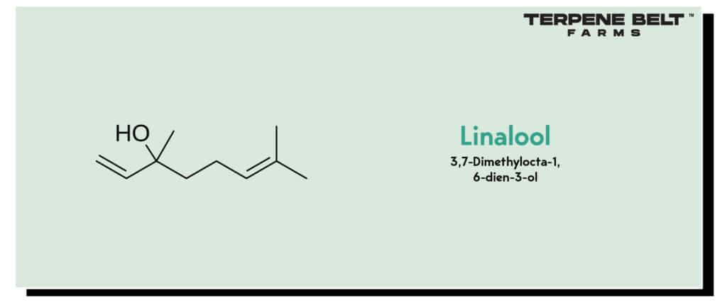 Linalool Molecular Structure