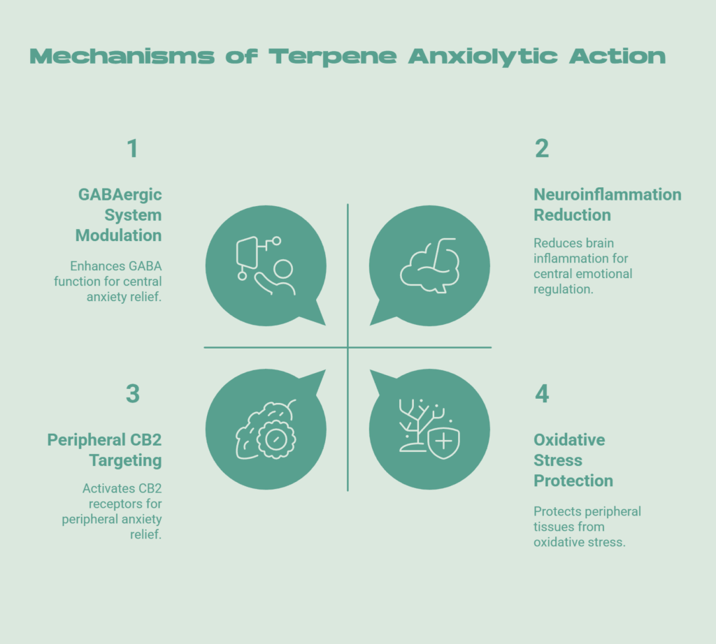 Mechanisms of Anxiolytic Action_ How Terpenes Work - visual selection