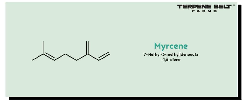 Myrcene Molecular Structure
