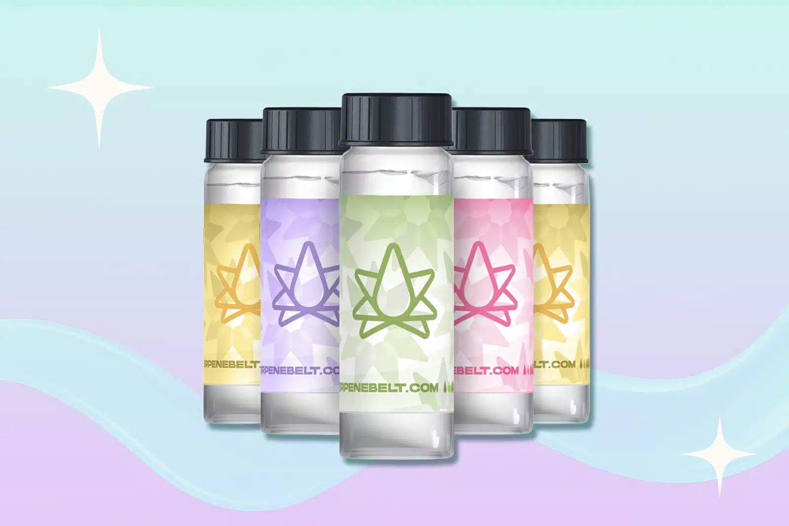 Five Terpenebelt Fresh Never-Frozen Sample Kits placed against a light-colored background