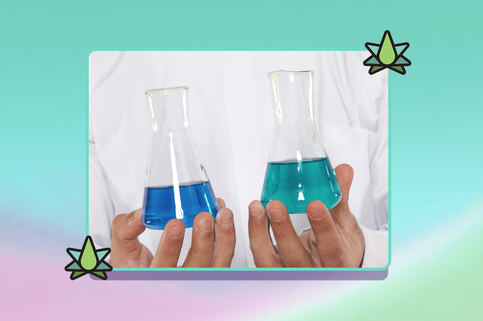 Hands holding laboratory beakers with blue and green liquids for chemical analysis and research, with the Terpene Belt Farm logo