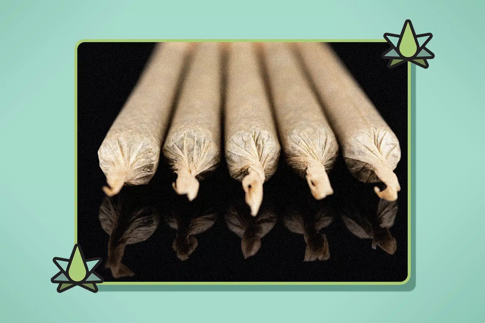 A row of pre rolled joints