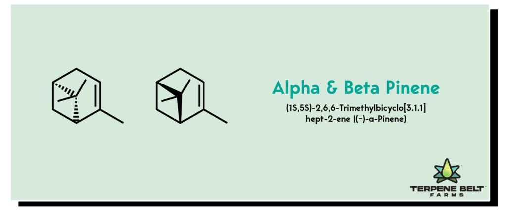 Alpha and Beta Pinene - Molecular Structure