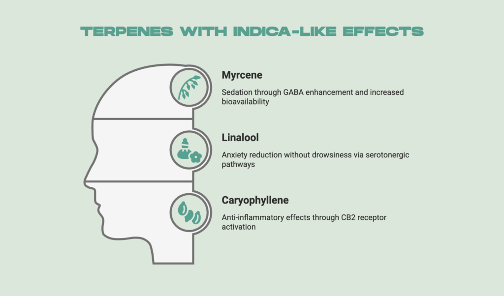 Terpenes with Indica-Like Effects