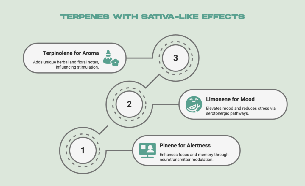 Terpenes with Sativa-Like Effects