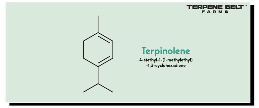 Terpinolene - Molecular Structure