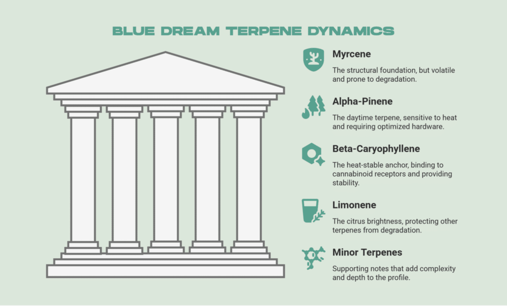 Blue Dream Terpene Dynamics