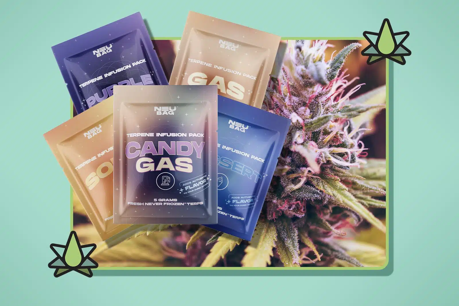 What Are Hemp Terpenes - Featured Image