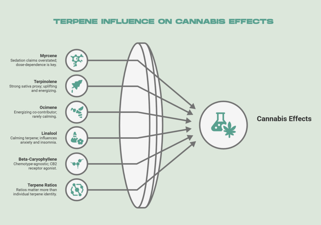 Terpene Influence on Cannabis Effects
